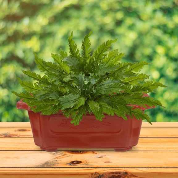 BESTONZON Red Plastic Bonsai Pot for Indoor and Outdoor Decor