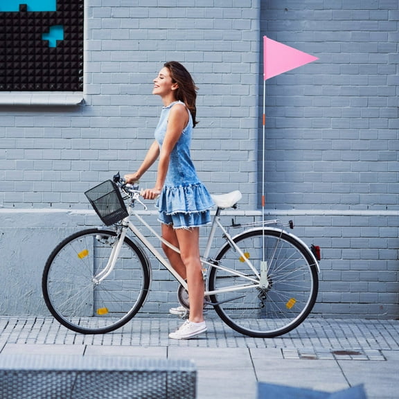 BESTOYARD Pink Bicycle Flags with Pole 1 Set