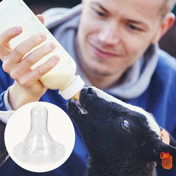 BESTOYARD Pet Feeding Silicone Lamb Milk Drink 10Pcs