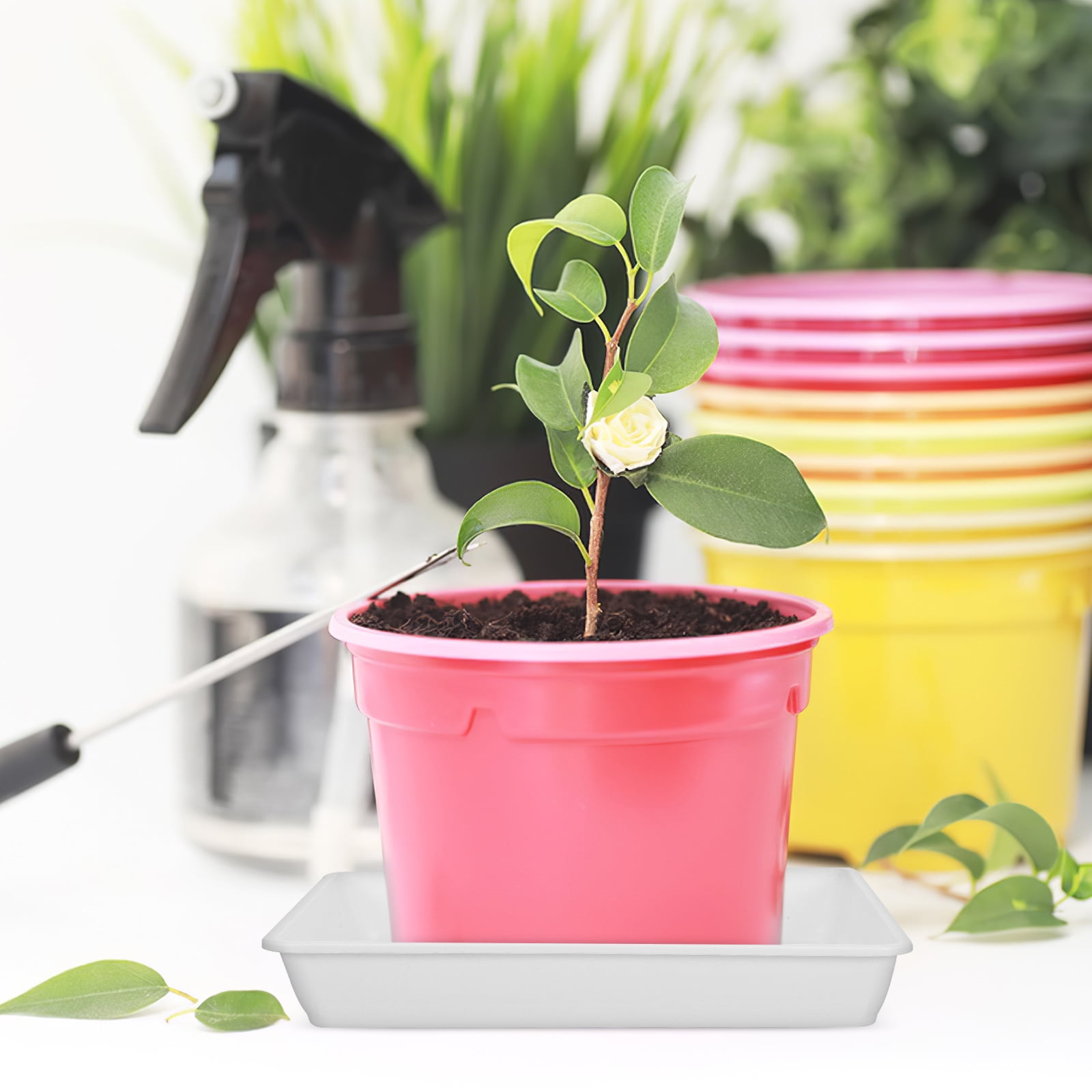 BESTOYARD 2Pack Plant Saucer Square Minimalist Design Plastic Drain ...