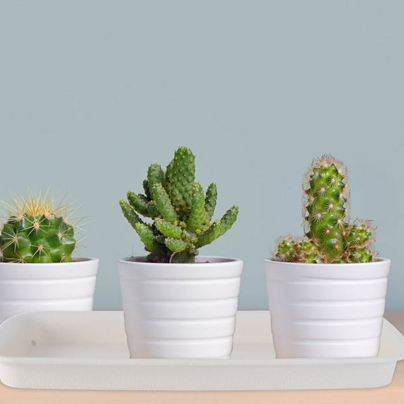 BESTOYARD 3Pcs Rectangular White Flowerpot Bottom Trays Lightweight Plastic Plant Pot Plates