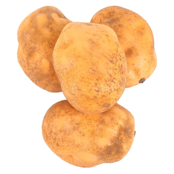 BESTOYARD 4Pcs Lifelike Artificial Potato Decoration Foam Models for Photography and Display
