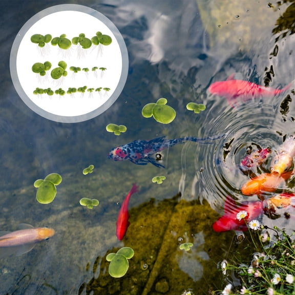 BESTOYARD 18pcs Floating Fish Tank Decorations Artificial Plants Decoration Green PVC for Pet Fish Environment