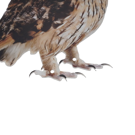 BESTSKY 1 Pack Owl Decoy,Plastic Owls to Scare Birds Away,Garden Squirrels,Owl Scarecrows for Bird Control,Bird Deterrents Garden Yard Outdoor Decor Owl Statues