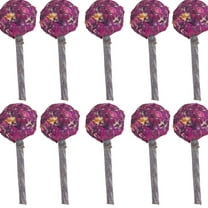 BESTSKY 10Pcs Fresh Flower Rabbit Chew Toys,Natural Flavorful Rabbit Toys for Digestion,Apple Branch Guinea Pig Toys for Dental Health,Handcrafted Rabbit Chew Toys for Nutritious Fun