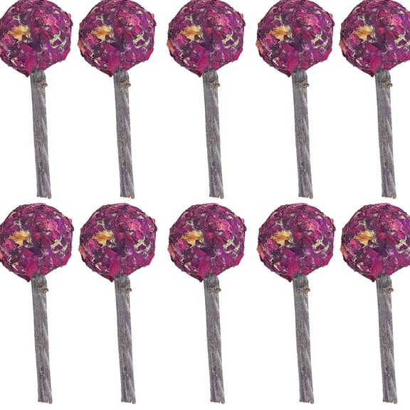 BESTSKY 10Pcs Fresh Flower Rabbit Chew Toys,Natural Flavorful Rabbit Toys for Digestion,Apple Branch Guinea Pig Toys for Dental Health,Handcrafted Rabbit Chew Toys for Nutritious Fun