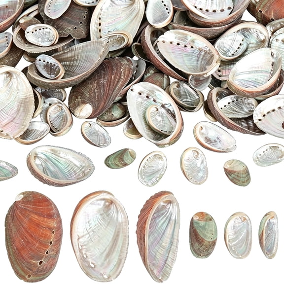 BESTSKY 120 Pcs Natural Abalone Sea Shells 2 Sizes Abalone Shell for Crafts Hand Selected with Pre-Drilled Holes for Jewelry Making Diy Home Decor Art Projects, 0.79-1.57 Inch; 1.57-2.36 Inch