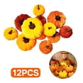 thumbnail image 1 of BESTSKY 12Pcs Pumpkins for Decorating,Vibrant Orange Color Fall Kitchen Decor,Lifelike Mini Ornament Thanksgiving Decorations,Orange, 1 of 7
