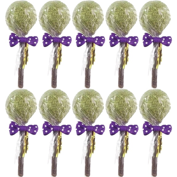 BESTSKY 2026 New 10Pcs Rabbit Chew Toys,Natural Fresh Flower Rabbit Toys for Healthy Teeth,Apple Branch Guinea Pig Toys for Nutritious Chewing,Handmade Rabbit Chew Toys for Enjoyable Grinding