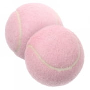 BESTSKY 2026 New 2Pcs Training Tennis Balls for Beginner Practice for Tennis Court, Backyard, Indoor Training, Sports Class, Kids Practice