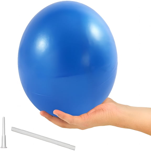 BESTSKY 2026 New 9 Inch Exercise Pilates Ball Mini Exercise Barre Ball for Yoga, Stability Exercise Training Gym Anti Burst and Slip Resistant Balls Physical Therapy Improves Balance, Core Strength