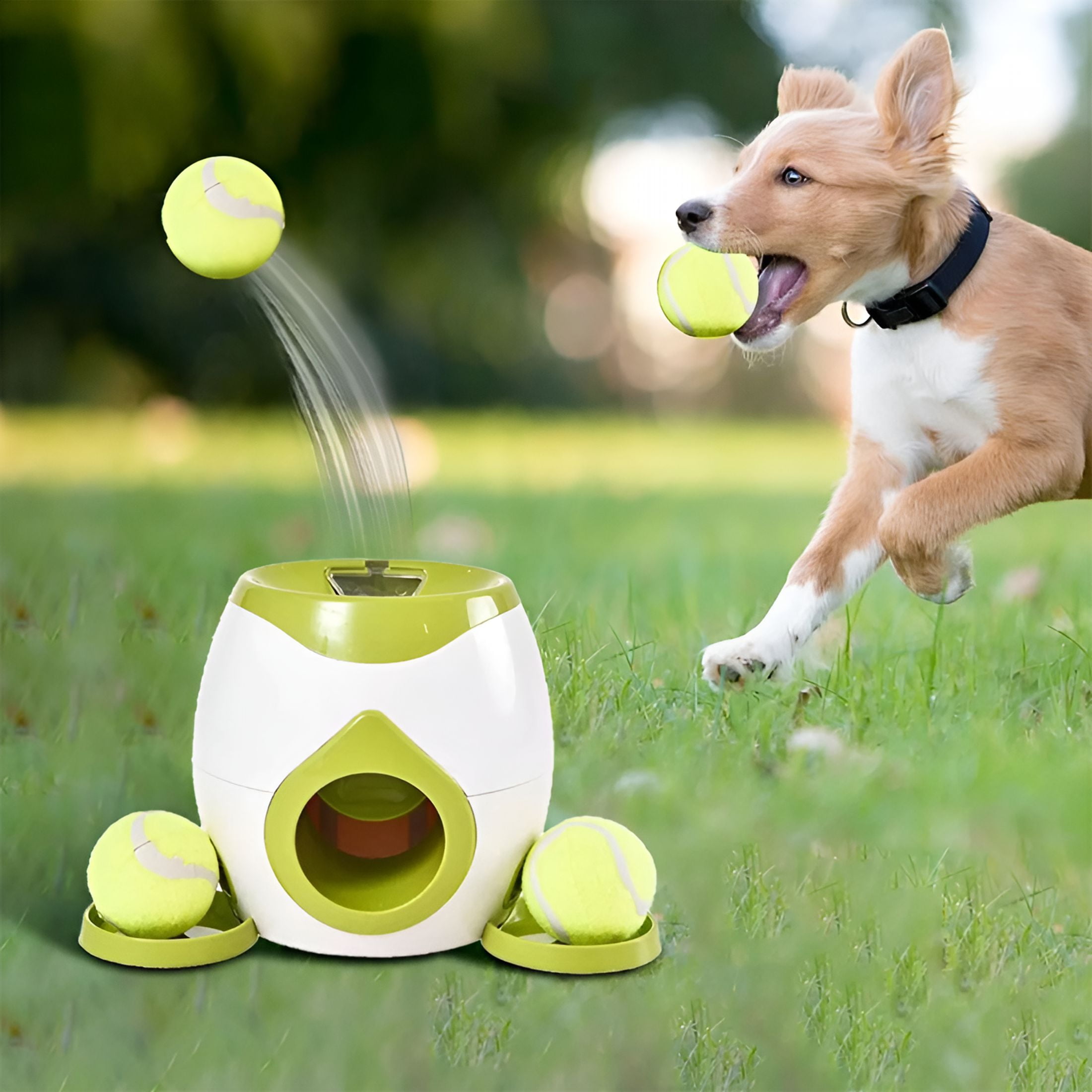 BESTSKY Automatic Dog Ball Launcher Tennis Ball Reward Machine for Small Medium Large Dogs Indoor Outdoor Training Automatic Feeder for Interactive Dog Training Gift Summer(Green)
