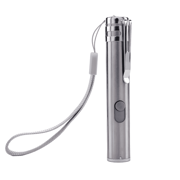 BESTSKY 2026 New Laser Pointer,Stainless Steel Material Cat Laser Pointer Toy,Laser+Led Light Source Lazer for Cats,9.5Cmx1.5Cm for Cat Play, Training, Interactive Fun, Indoor Activities.