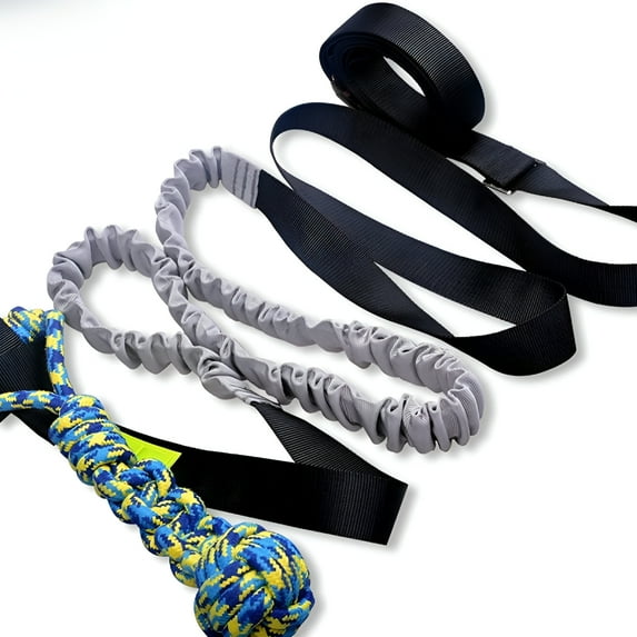 BESTSKY 2026 New Outdoor Bungee Tug Toy, Dog Toy Hanging From Tree for Small to Large Dogs, Interactive Exercise Play Cord & Tether with Chew Rope Toy