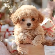 BESTSKY 2026 New Robot Dog, Realistic Robot Puppy That Acts Like A Real Dog, Interactive Plush Ai Robot Pup, Robot Dogs for Sitting, Barking, Walking B