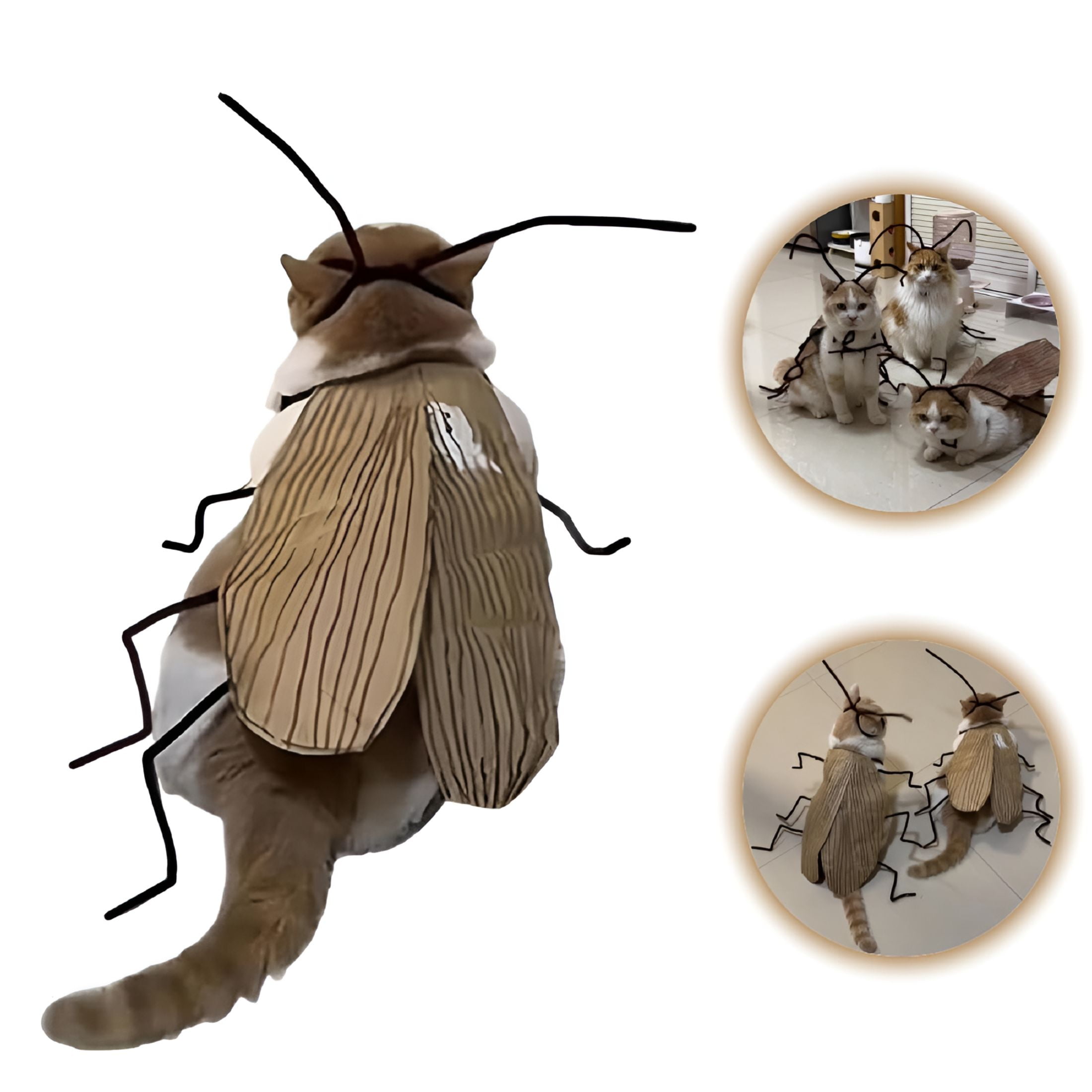 BESTSKY 2Pcs Cat Cockroach Clothing DIY Kit, Funny Kitten Costume Set ...
