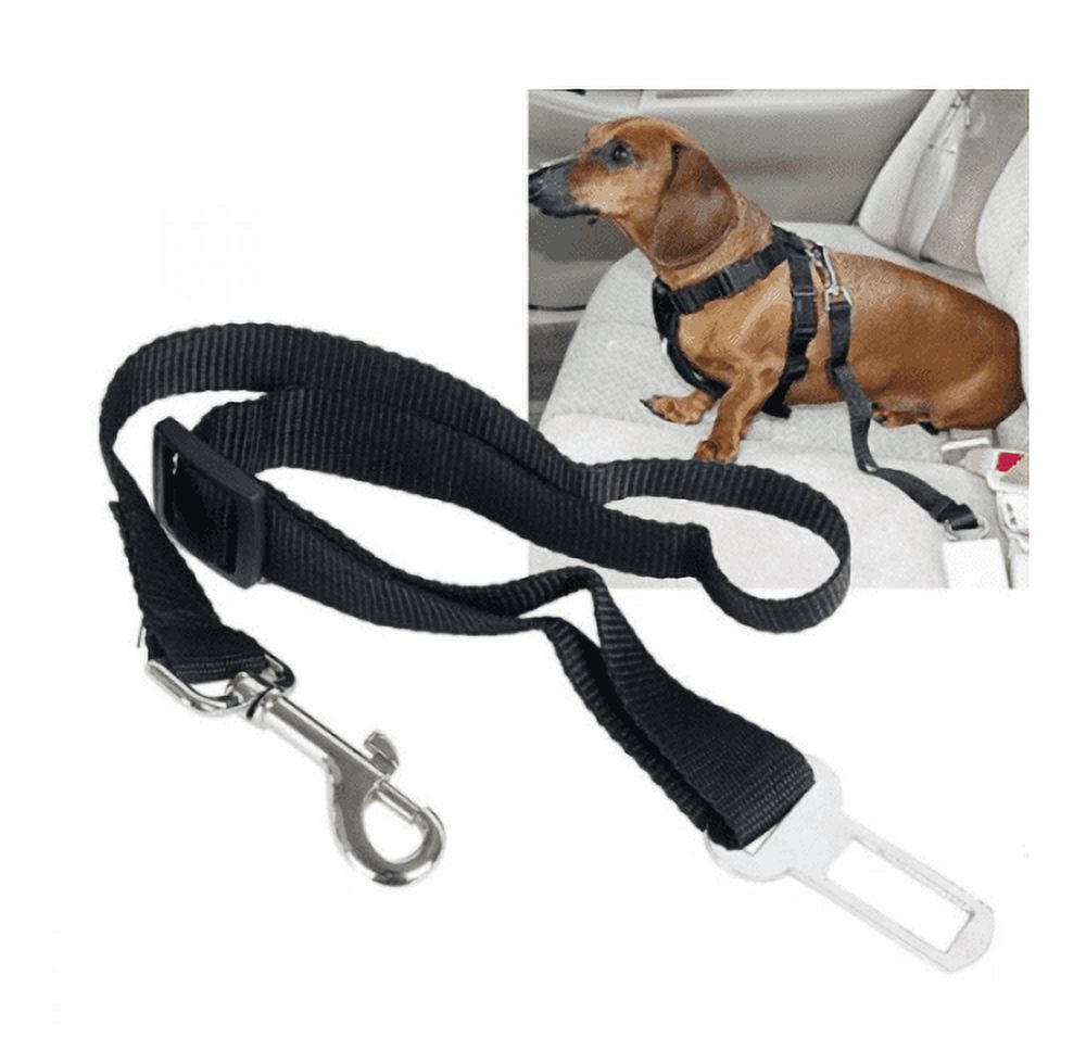 Dog seat belt walmart hotsell