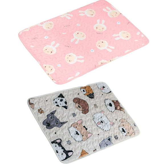BESTSKY 2Pcs Dog Mat Odor Control Waterproof Blanket Matches Decor Dog Crate Pad Style3