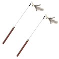 thumbnail image 1 of BESTSKY 2Pcs Interactive Cat Toy,Colorful Tassels Interactive Cat Toys,Fun Interactive Play Experience Kitten Toys,Style1, 1 of 4