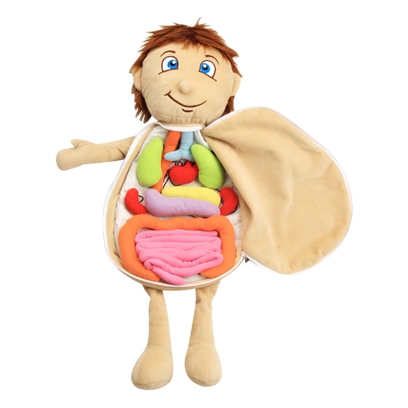 BESTSKY 3D Human Anatomy Model Toy, Detachable Plush Organ Set for Kids Ages 3+, Educational Science Teaching Tool