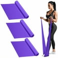 thumbnail image 1 of BESTSKY 3Pcs Resistance Bands for Working Out,High Rebound Force Stretch Bands for Exercise,Workout Bands Resistance for Yoga,Pilates,Rehab,Fitness,Strength Training,Purple, 1 of 7