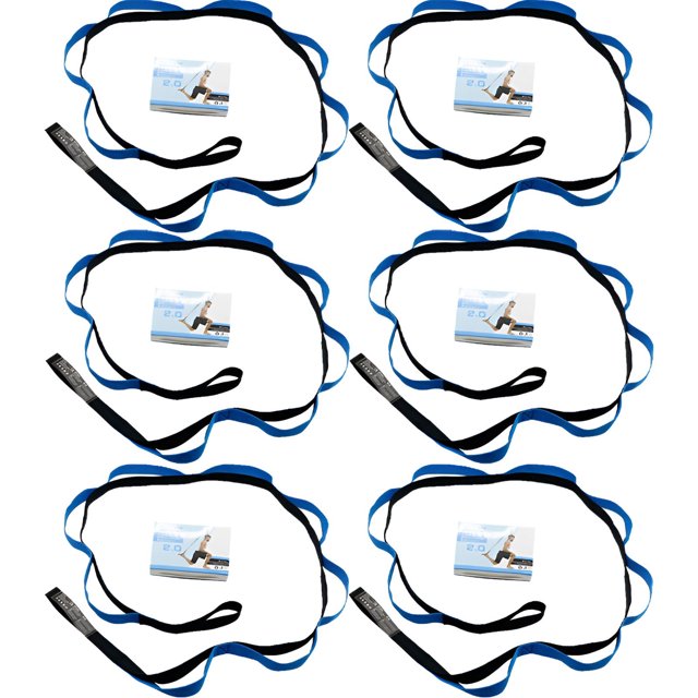 BESTSKY 6Pcs Resistance Bands,Time Count Rope Resistance Bands for Working Out,Adjustable Smart Exercise Bands,Blue