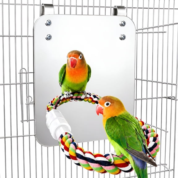 BESTSKY 7 Inch Bird Mirror with Rope Perch Cockatiel Mirror for Cage Bird Toys Swing Parrot Cage Toys for Parakeet Cockatoo Cockatiel Conure Lovebirds Finch Canaries