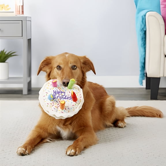 BESTSKY Birthday Cake Squeaky Dog Toy with Soft Stuffing
