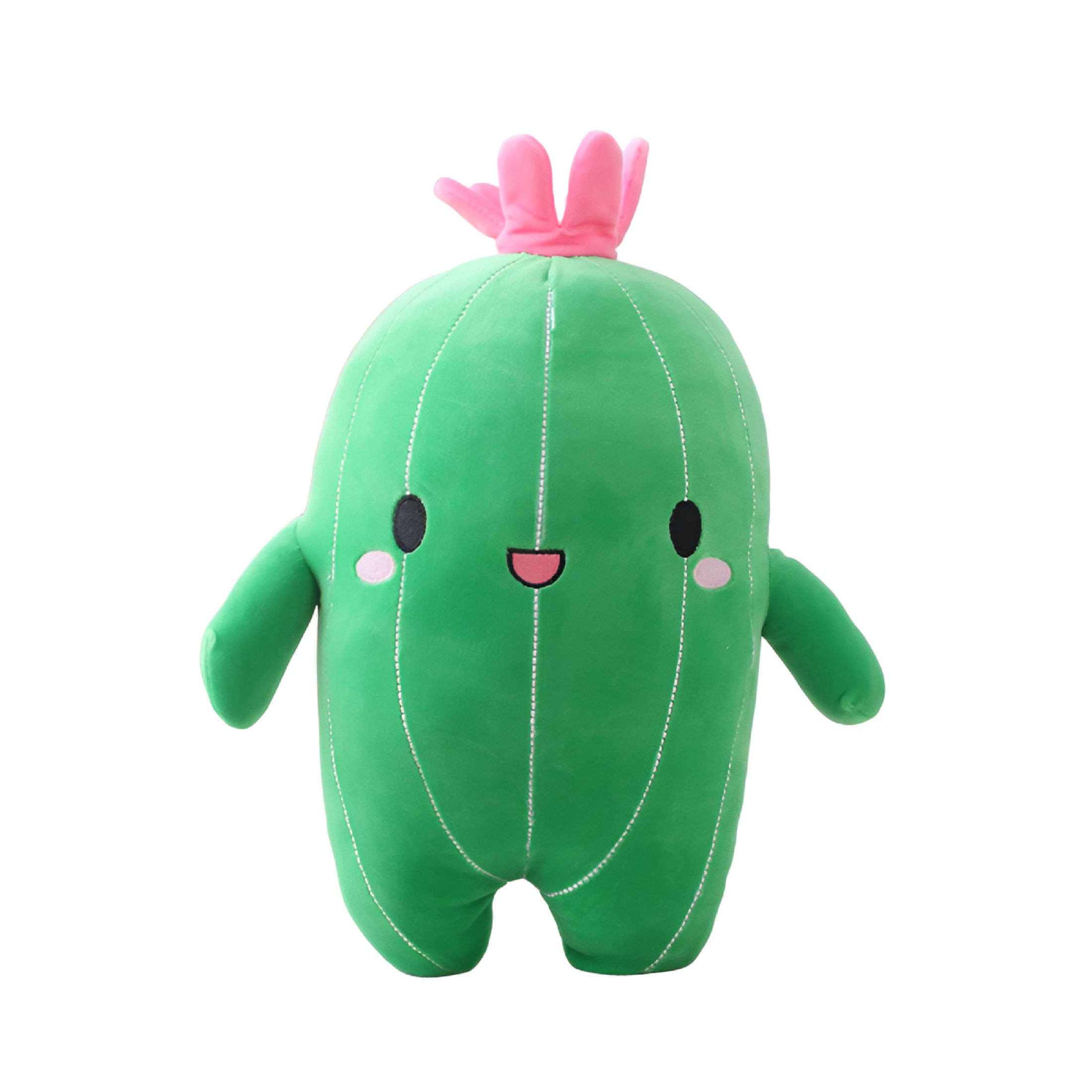 Cactus Toy