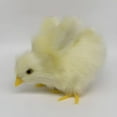 thumbnail image 1 of BESTSKY Chicken Toys,Lifelike Chick Plush Chicken Stuffed Animal,Adorable Farm Animal Companion Chicken Little,Style1, 1 of 4