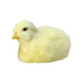thumbnail image 1 of BESTSKY Chicken Toys,Soft Fluffy Texture Chicken Stuffed Animal,Gentle and Cozy Touch Feel Farm Animal Toys,Style2, 1 of 5