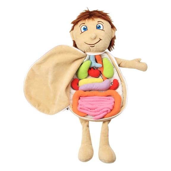 HBMYN Detachable Human Body 3D Organ Toy for Ages 3+ Anatomy Models,Plush/Fabric Multicolor