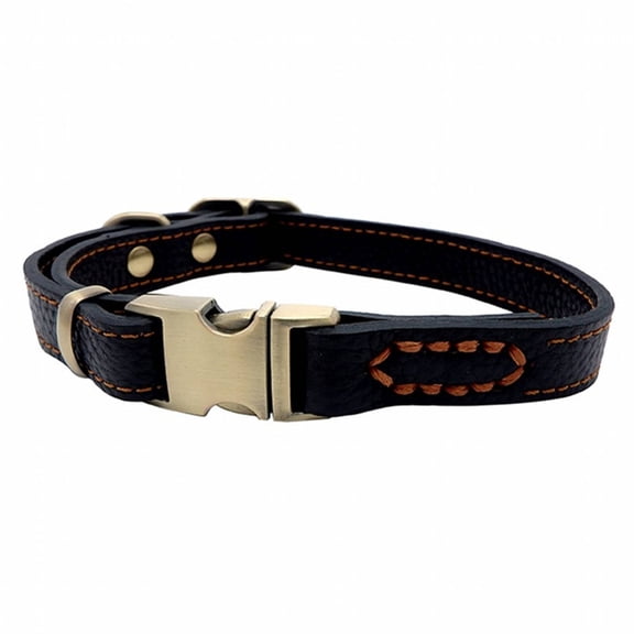BESTSKY Dog Collar,Simple Design Dog Harness,Easy Storage Dog Leash,Black,L