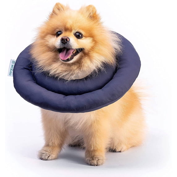 BESTSKY Dog Cone,Lightweight Design Dog Cone Collar,Multifunctional Recovery Protection Suitable for Various Pets Soft Dog Cone,L