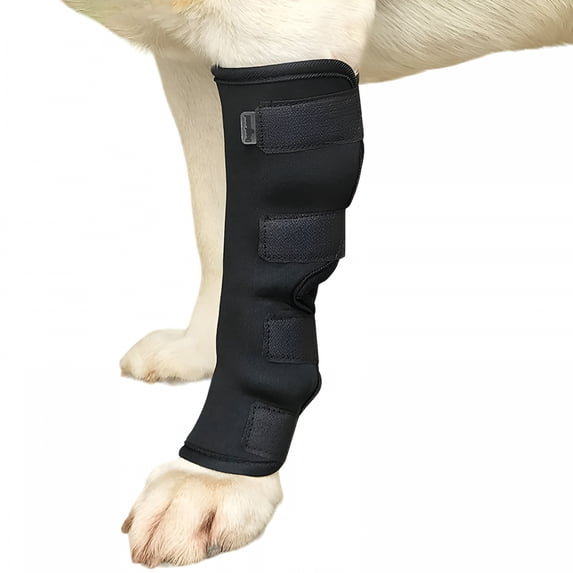 BESTSKY Dog Knee Brace for Fracture Recovery, Adjustable Pet Leg ...