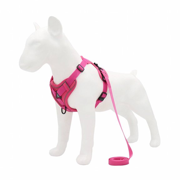 BESTSKY Dog Lead,Comfortable Fit Dog Harness,Premium Polyester Material Dog Leash,Red,S