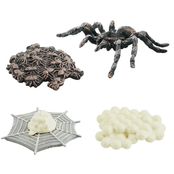 BESTSKY Fake Bugs,Stage Based Model Spider Growth Cycle,Life Cycle Plastic Bugs