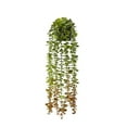 thumbnail image 1 of BESTSKY Fake Hanging Plants,Natural Aesthetic Artificial Plants,Greenery Easy Maintenance Faux Plant,Style4, 1 of 4