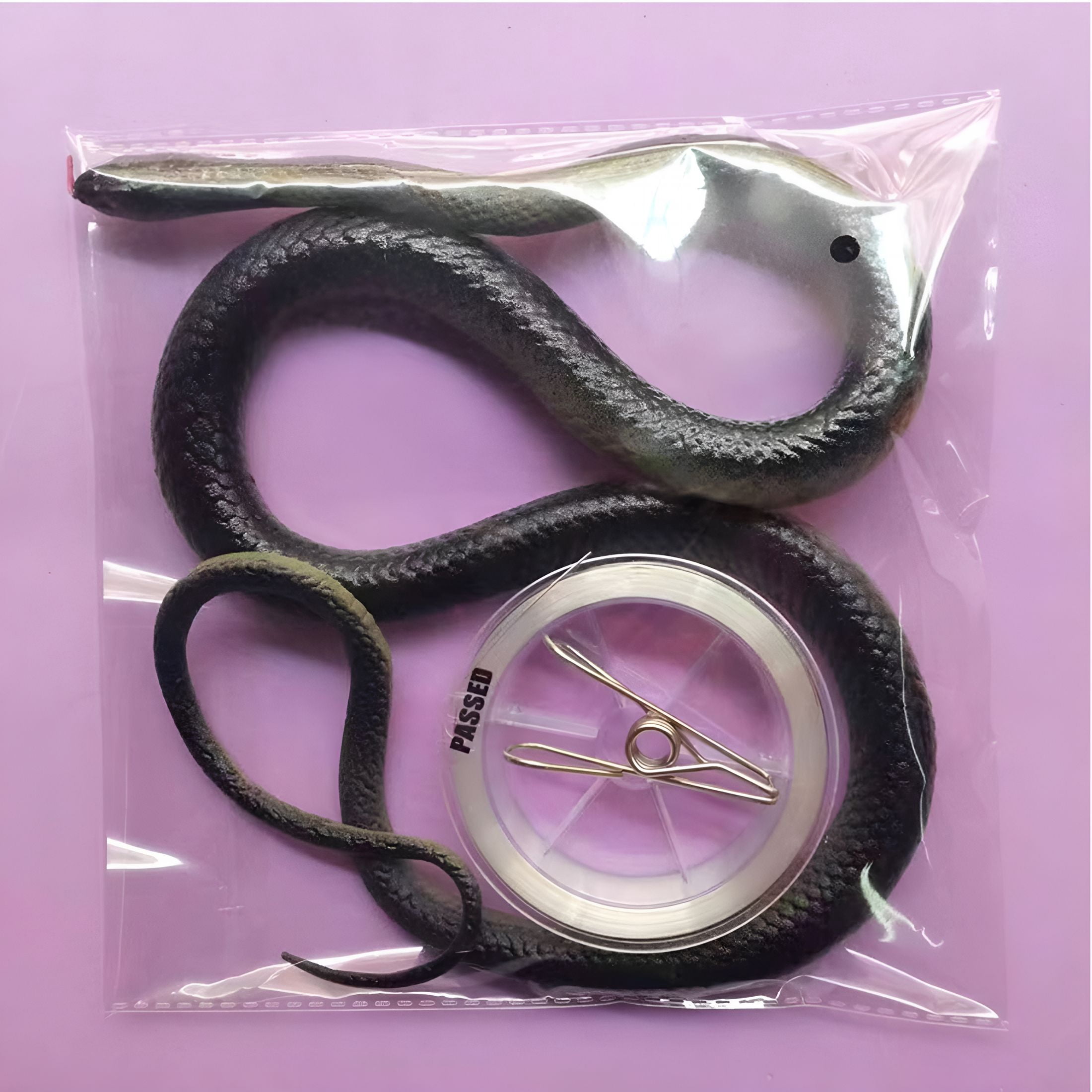 Normal String Pranks BESTSKY Fake Snake,Snake Prank with String Clip,Realistic Snake Prank ...