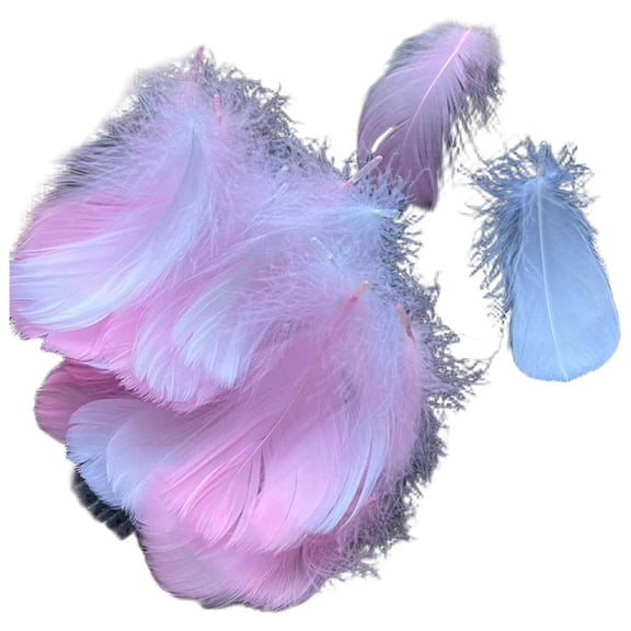 BESTSKY Feathers,Colorful Dyed Goose Feathers Feathers for Crafting,Perfect for DIY Craft Projects Pheasant Feathers,Style2