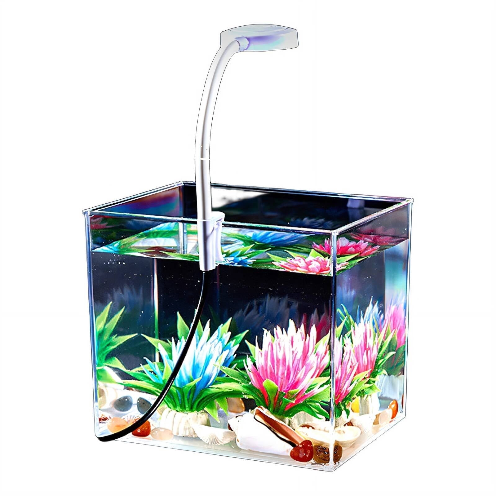 fish aquarium