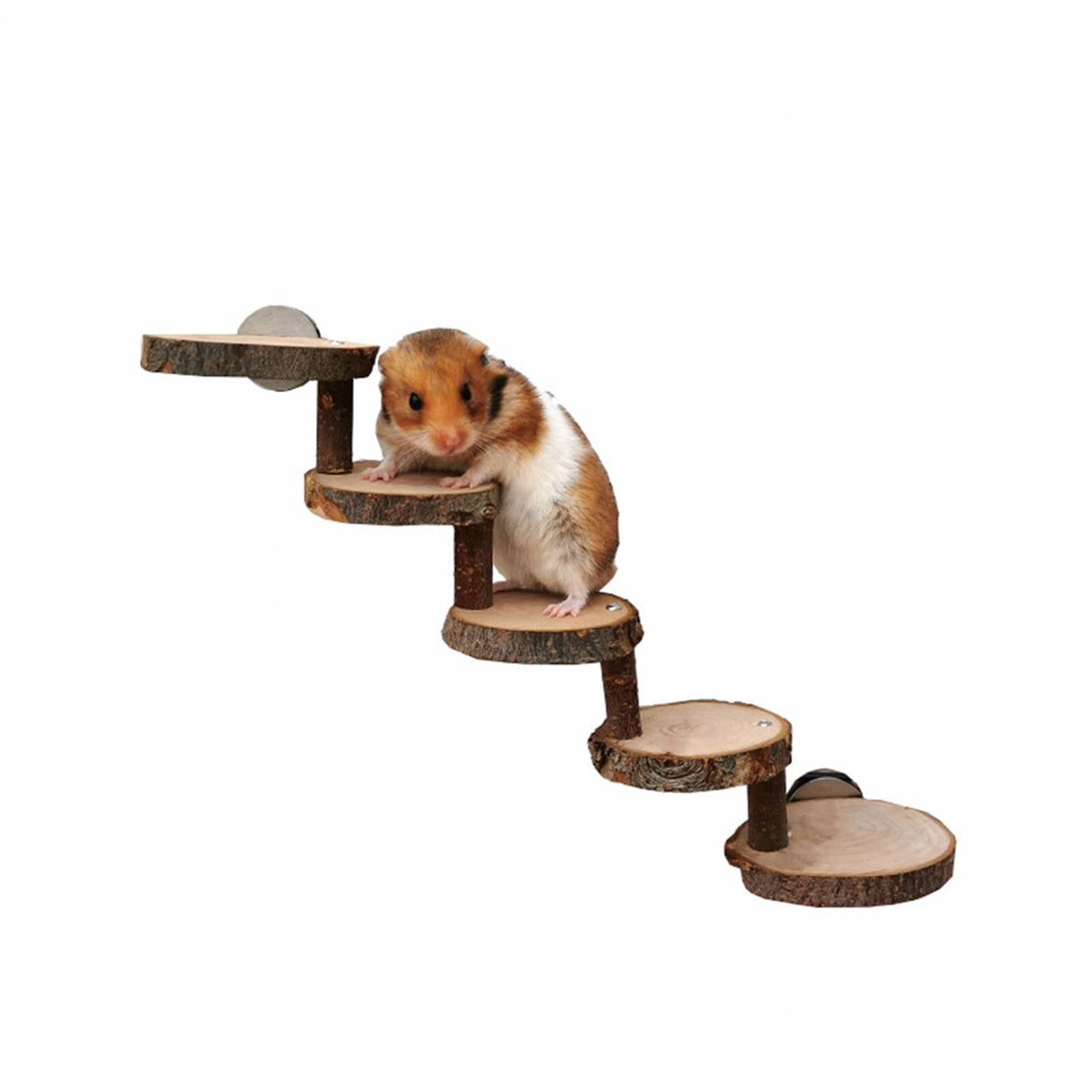 Image showcasing BESTSKY Hamster Toys,Eco-Friendly Wood Hamster House,Relieves Anxiety ...