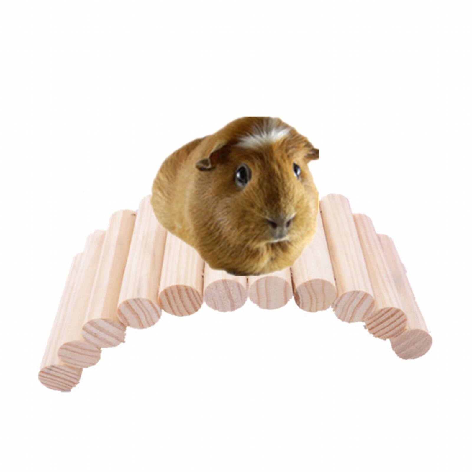 Bestsky Hamster Toys Keeps Pets Calm And Comfortable Hamster House Photo Inspiration