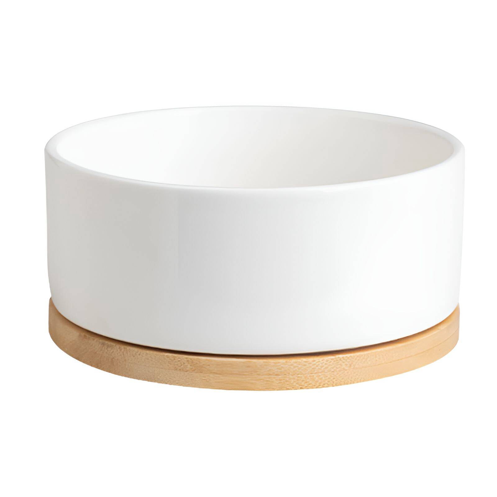 BESTSKY Heated Water Bowl,Ceramic Material Slow Feeder Dog Bowls,Comfortable Drinking Experience Dog Feeding Station,White
