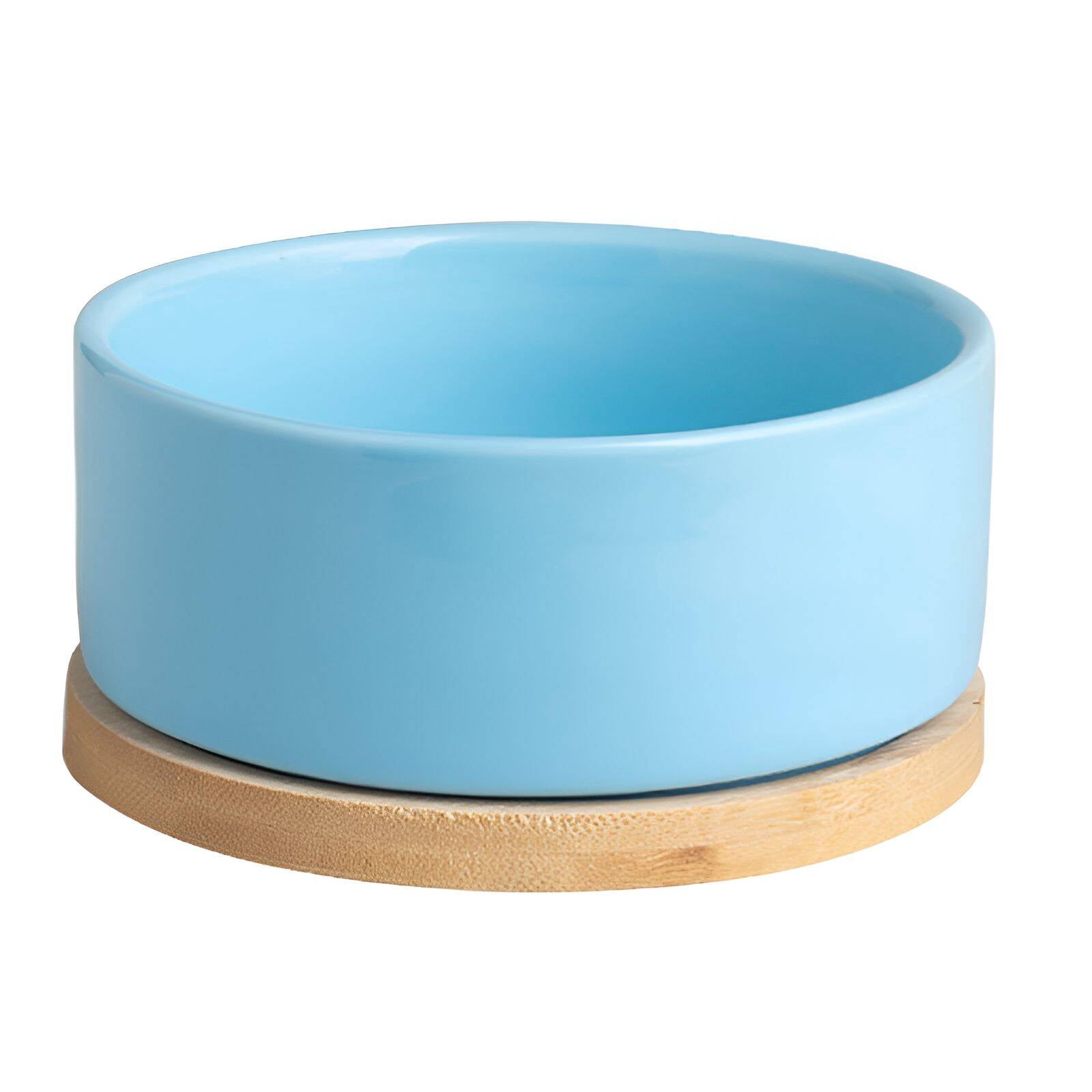 BPPEG Quick Heating Heated Water Bowl,Comfortable Drinking for Dogs,Blue