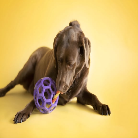 BESTSKY Hol-Ee Roller Rubber Dog Ball Puzzle Toy, Large 5.5" for Dogs 60 to 90 Lb, Pack of 1, Assorted Colors