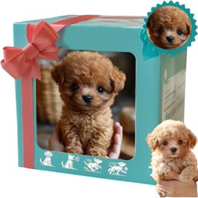 BESTSKY Hopping Dog Interactive Electronic Plush Puppy - Cut Plush Puppy Dog Walking, Barking & Tail Wagging (Brown)