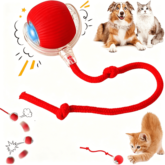 BESTSKY Interactive Automatic Indoor Cat Dog Toys Ball,360Fully Rechargeable Rolling Moving Ball,Smart Pet Chase Ball with Speedy Tail Rope,Stimulates Hunting Instincts&Promotes Exercise