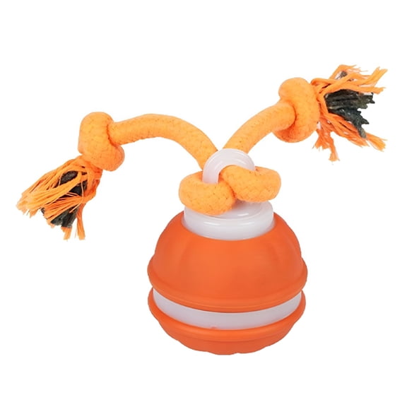 BESTSKY 2026 New Interactive Dog Toys Active Rolling Ball Toys for Puppy/Small Dogs, for Indoor Play, Outdoor Fun, Exercise (Orange)