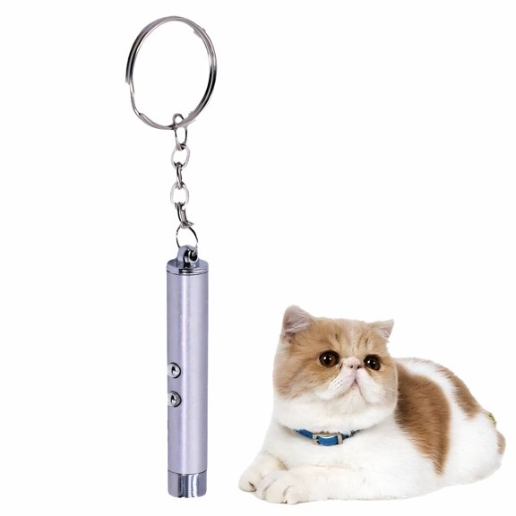 BESTSKY Interactive Laser Pointer for Cats, Multiple Lighting Modes Kitten Toy, Long-Range Indoor Pet Exercise Tool, Silver